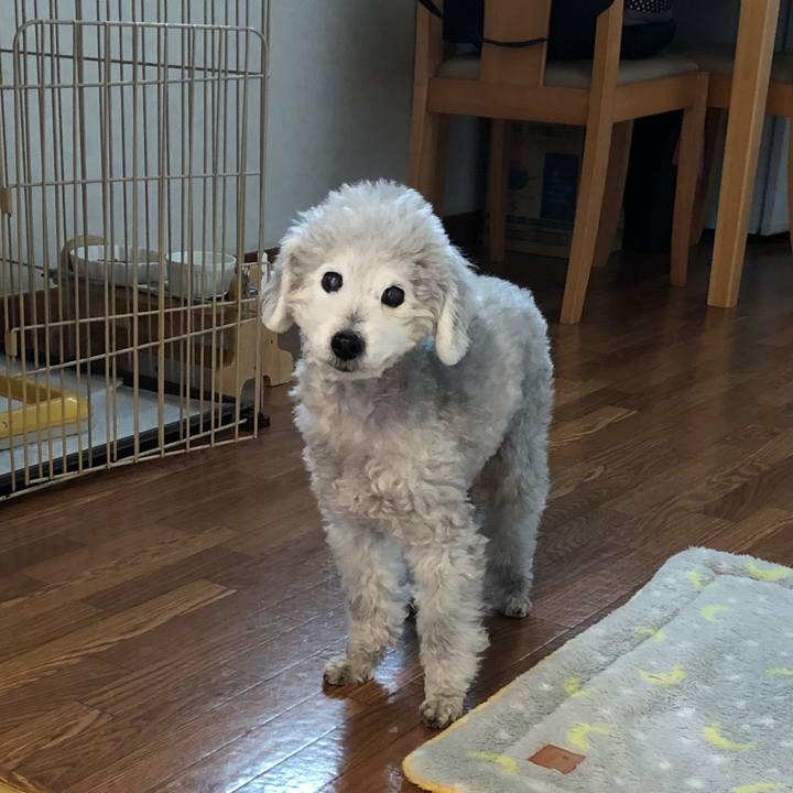 803cc3f9 8730 4c71 bbe9 bc8b2a2dcb09 1584054209192