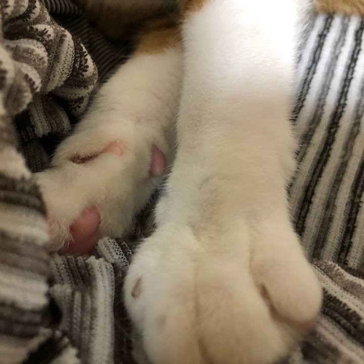 803ce5e4 ada9 4f00 9dc7 6c03a5a45328 1560868092601