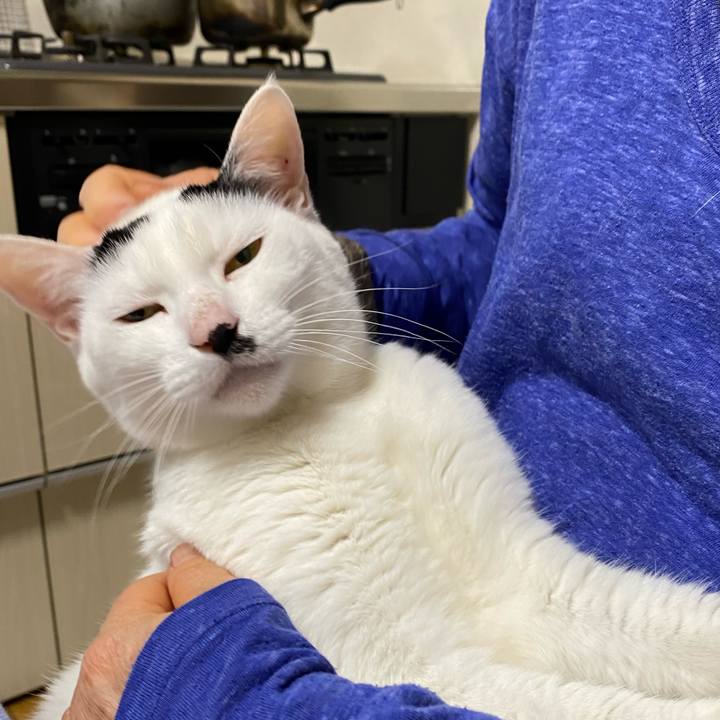 803d0077 2708 449f 9f5f bb5e93fa6c62 1616154568146