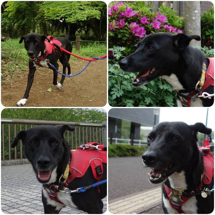 803d31f6 ef39 47b3 b4a5 26ff62285c47 1587947256608