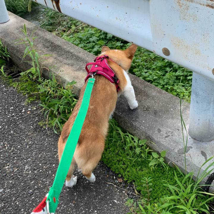 803d9e16 6145 418e 9097 94516eb6ac40 1626228335643