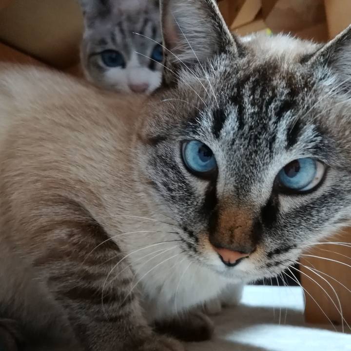 803db472 af3f 4891 8bf1 069a902dd74d 1544522909931