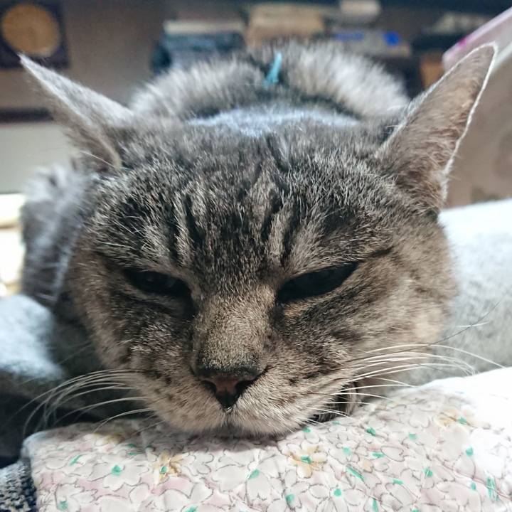 803dc363 1829 4635 8b57 98b271f37387 1575709577061