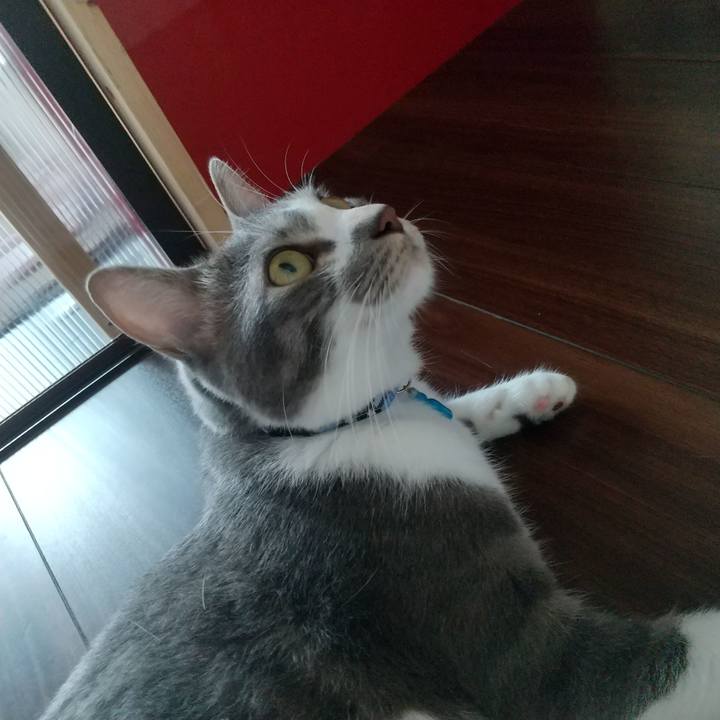 803ddd8a c0ef 4231 bbc0 f570a5e22e40 1596755115443