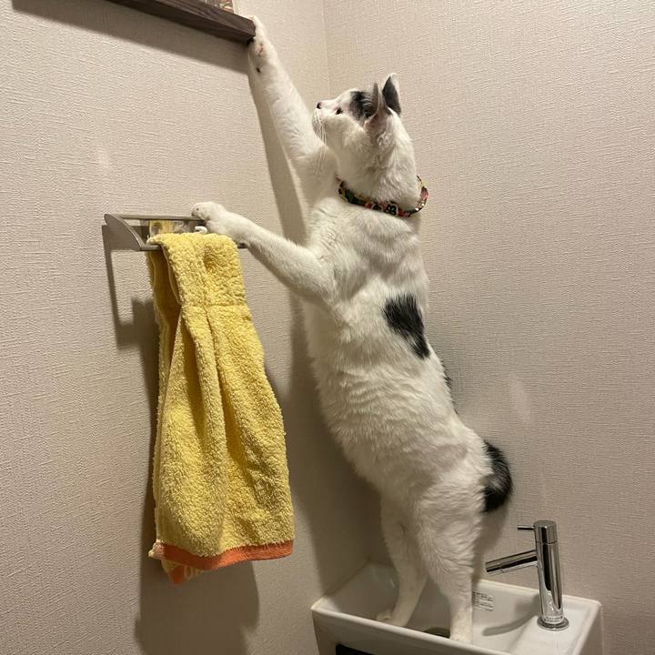 803de197 e622 4a80 afe6 a52b346ccfe2 1635737347478