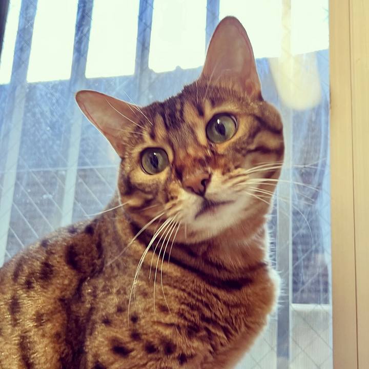 803e3ee4 f618 4248 923b 9ca7f7c4fad2 1664582843560