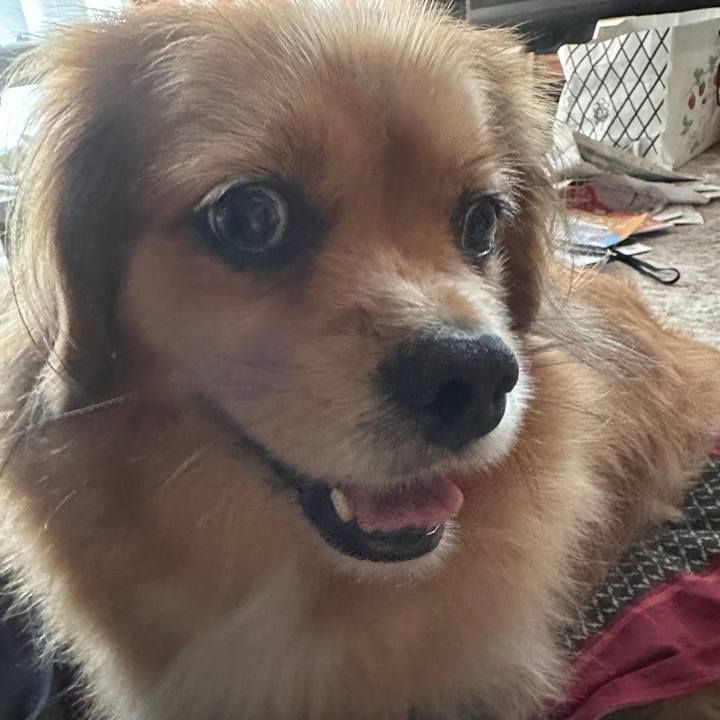 803e444e c6d0 4d20 adab 89a872da8897 1688937307205