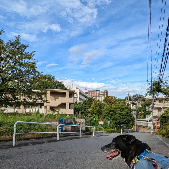 803e6c50 3ed3 4405 86be 0ac6bef42cee 1724714286425