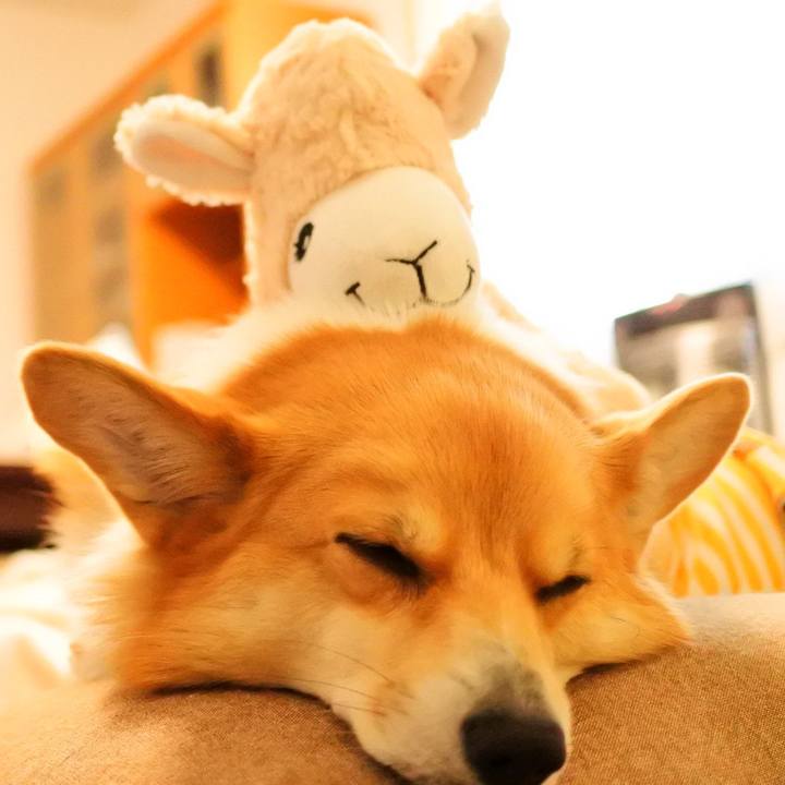 803ec74d 02cb 4a02 8ecb 0d1544f481f8 1615210286705