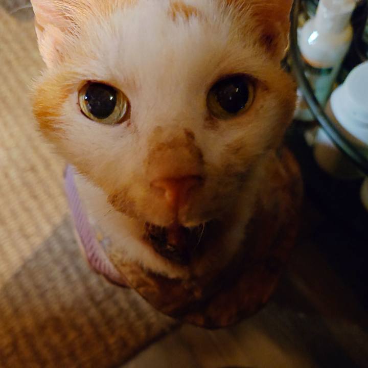 803ed85b 1b59 477e 8c15 cb4e5843d49d 1771932701488