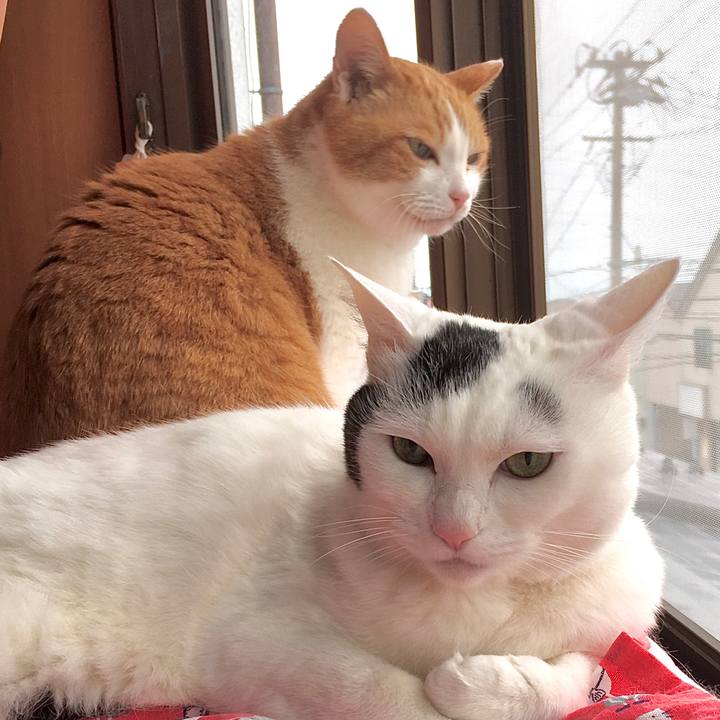 803ee491 706a 4194 bba0 b0f6bc064a81 1588754601565