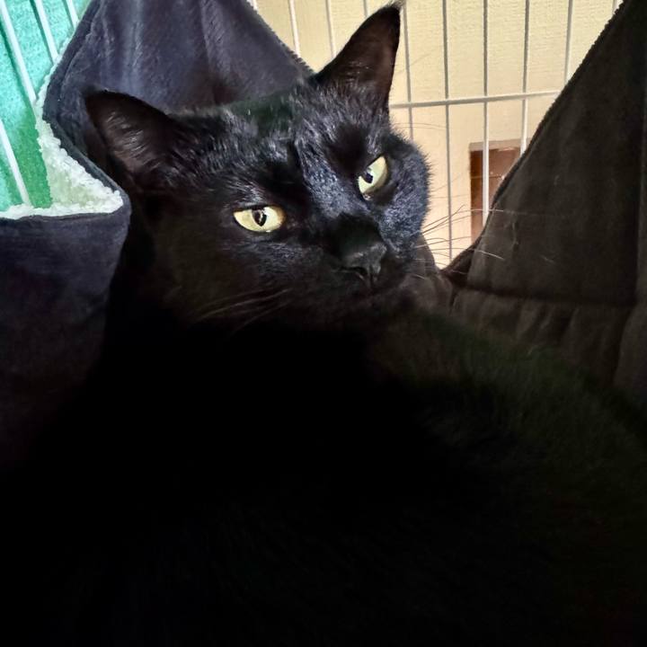 803ef003 945d 4804 a469 24ba05a2eee5 1763084060862