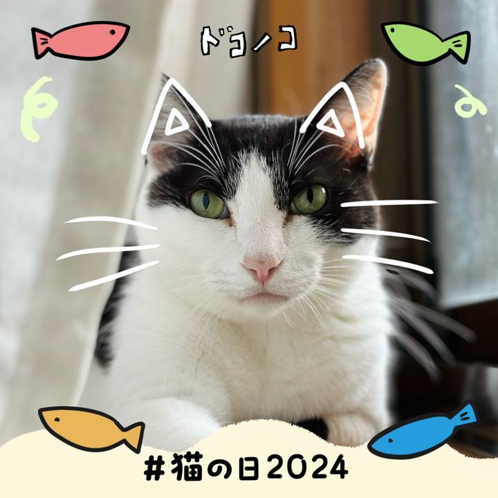 803f269b 00db 43c1 ac3d d5a53f227530 1708567677320