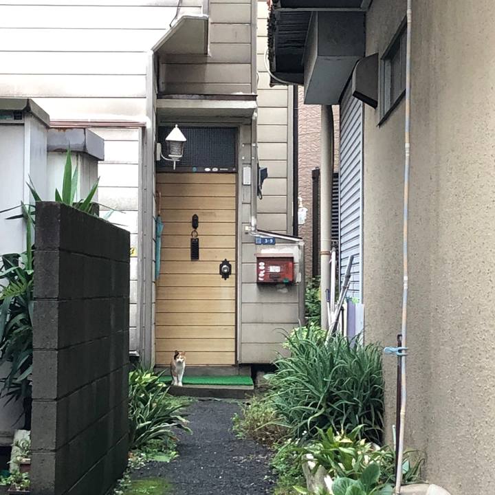 803f432f 66d0 4544 bfd1 1dafc5f0da3a 1630705885171