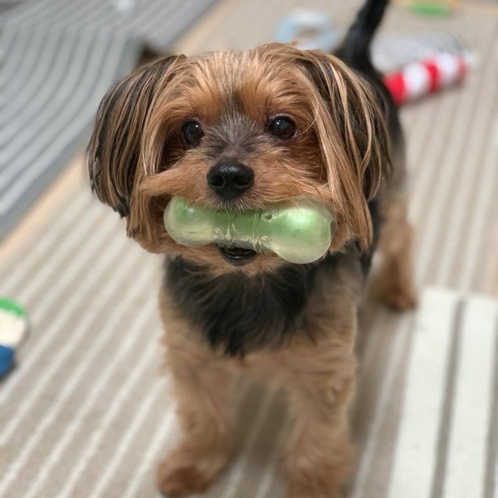 803fb02c e94f 4b2a 9ee1 f80528c80ec5 1594643624563