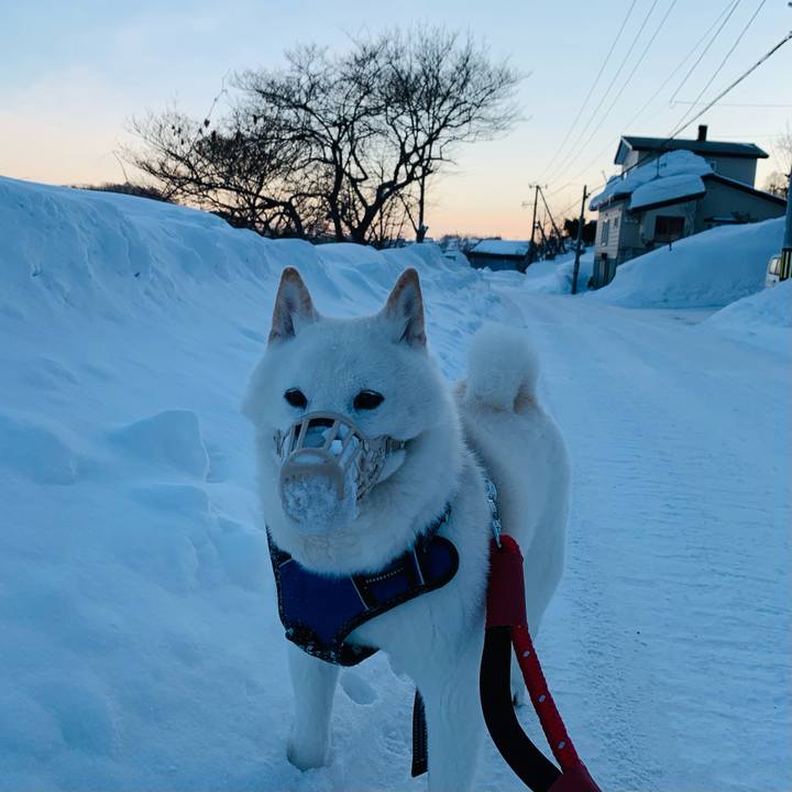 8040152f f499 4faa ab68 e2956b63f669 1644532584271