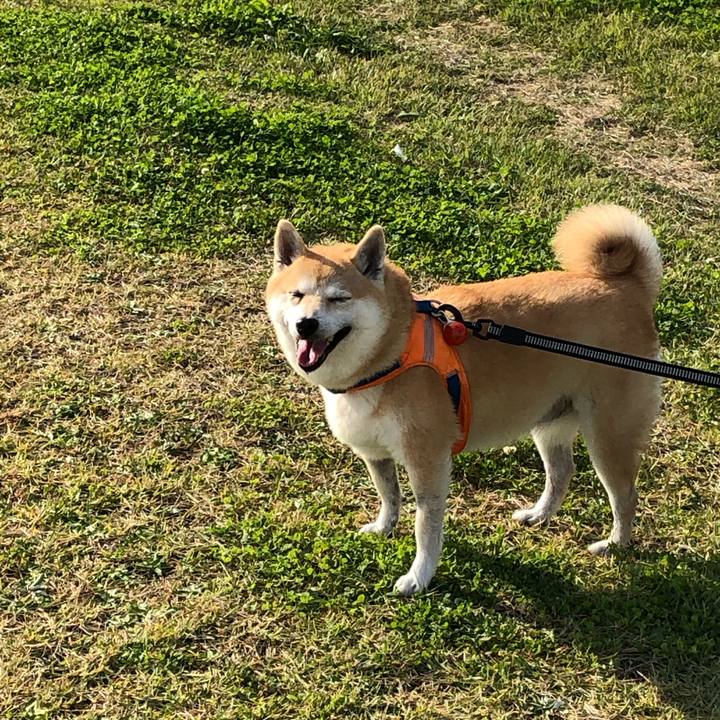 80401eda 74ff 4c4b 9a01 b5de261e4249 1572843591061