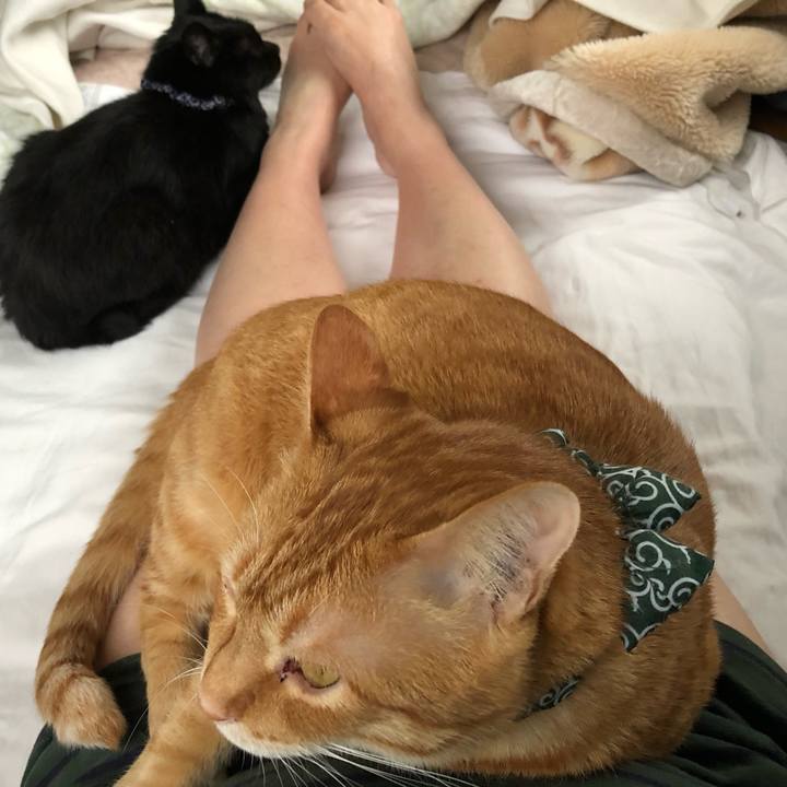 804064b4 fd11 474d 80cc f44584062fd3 1560371572320