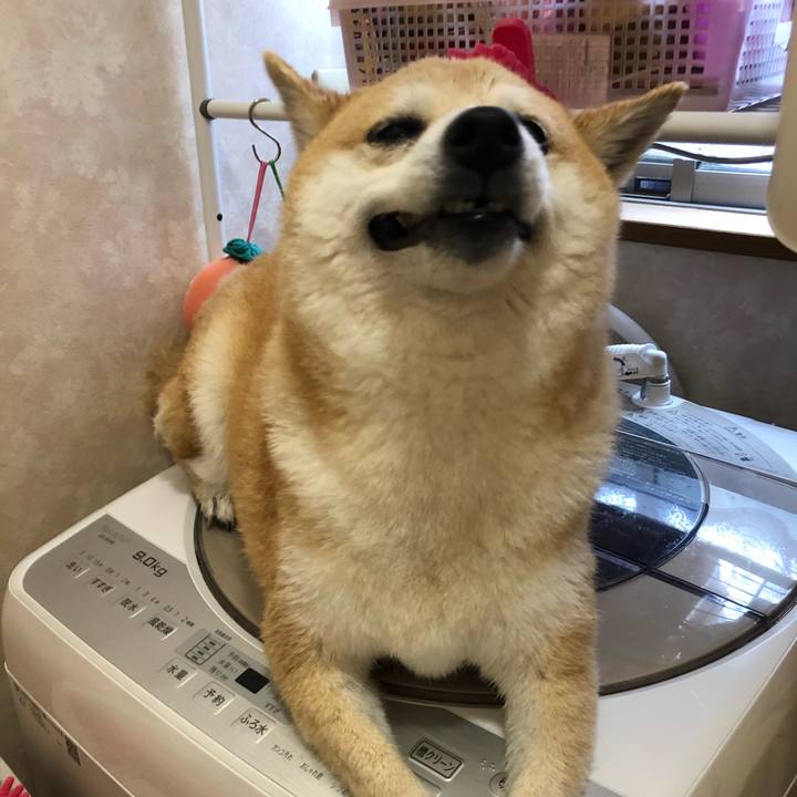 80406e26 b909 4987 84f8 1b5819713763 1590325141881