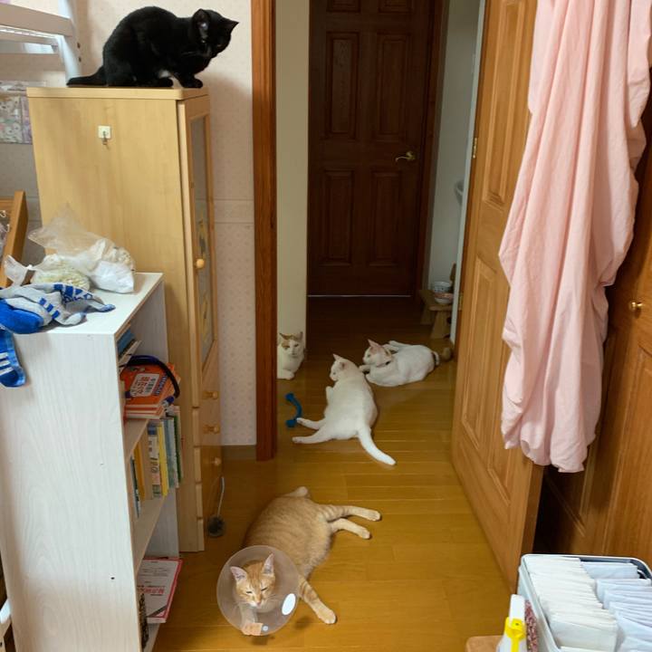 8040b197 df3a 4f1f bad9 7c9de6fa3321 1567721758991