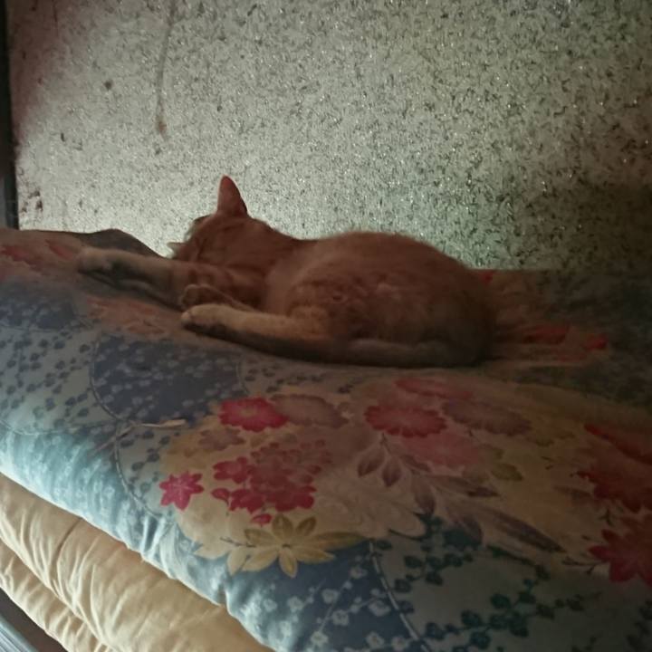 8040ccee 8796 4c84 b52b eb8748304043 1593211166988