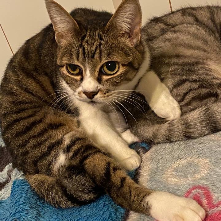 8040d32b 098a 4f01 8d84 f52653a70cb3 1578102582795