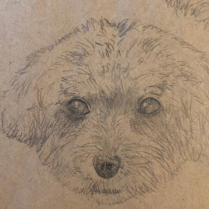 8040f6d7 82f5 41c2 80c2 e3aaddc8d360 1565772465615