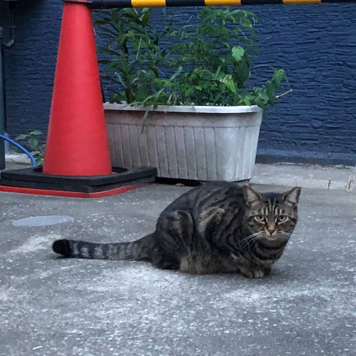 80410fae 9b4c 49a1 9562 703e5fd110bd 1536838847903