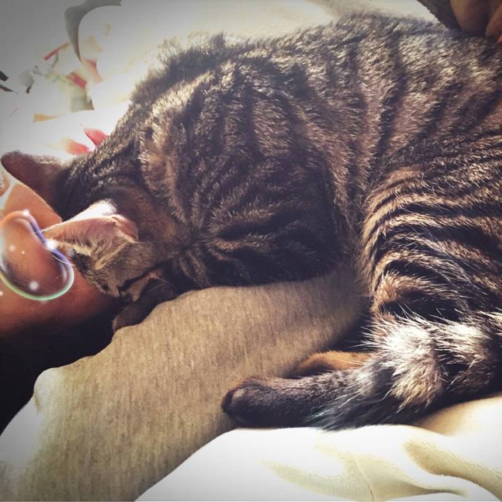 8041123d 265e 4ee3 a8e7 51048a189b7e 1540683422469