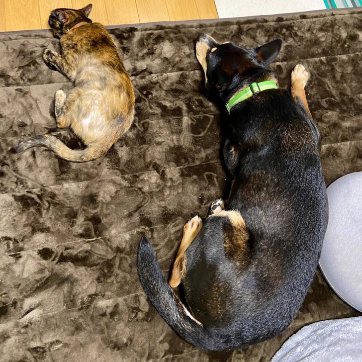 8041443c 3e13 4fdf 9319 137e837dbae0 1611587013928