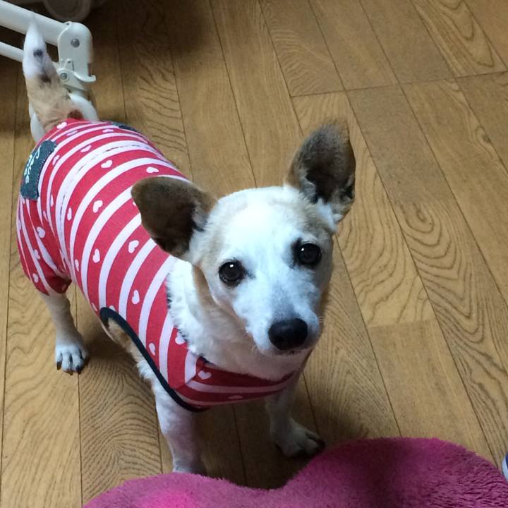 804153bd 8afd 45a7 8da7 06354d3edb2e 1535861838585