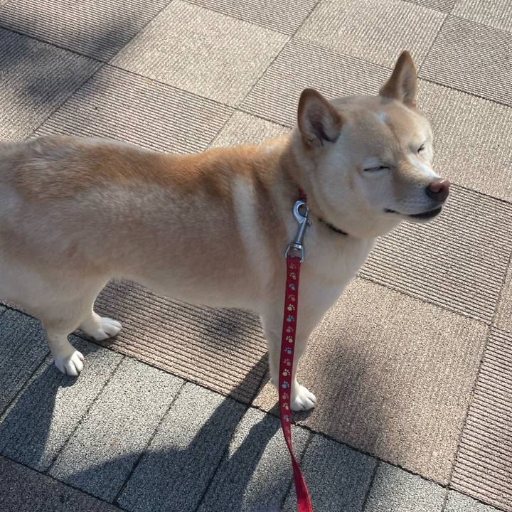 80415644 07b2 4730 ae01 c2eeec100b5f 1684912177622