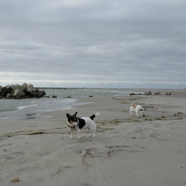 80419e17 1248 48e3 a2bc 392a3cf7df77 1528954681610