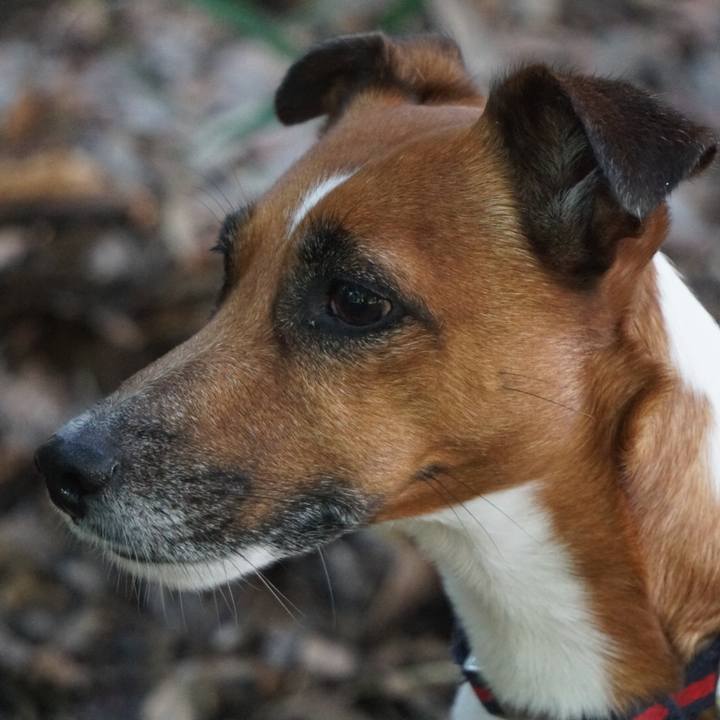 8041bb21 a233 4fc1 abd7 6c98d0878270 1526252652170