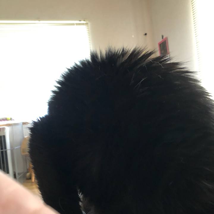 80423a9a c761 441a b1b3 09c3a3db9720 1585258511837