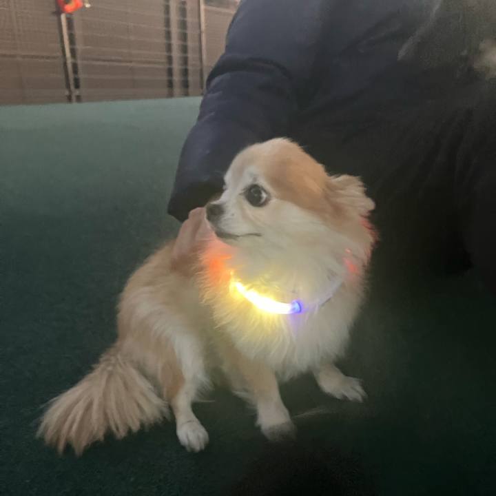 804275ef c237 45a0 8458 3b74732775a2 1765369420498