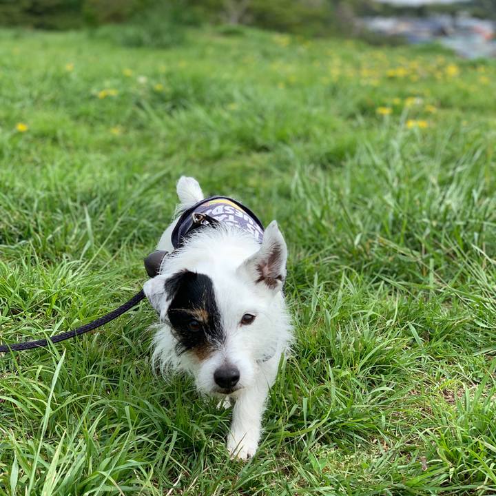 804275f4 fe23 4e6a bd28 278c43b650f4 1713833240595