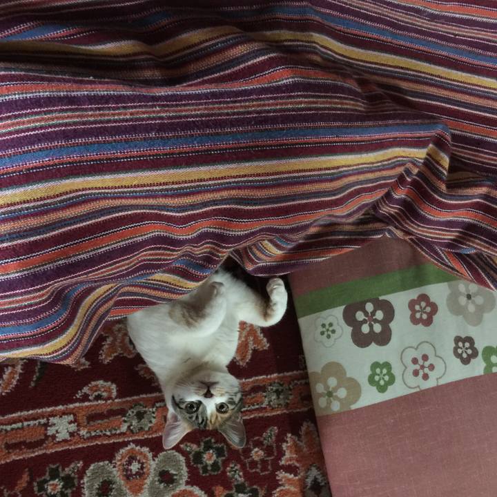 80427da1 82fb 46a4 8550 ff8cc9c258c1 1641556976687