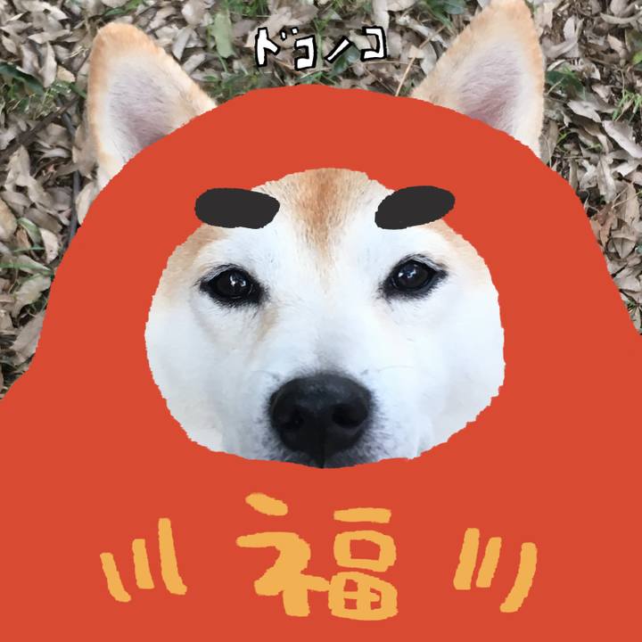 80428768 16bd 4cdf 9fa1 7911c2e90c4a 1772317534309