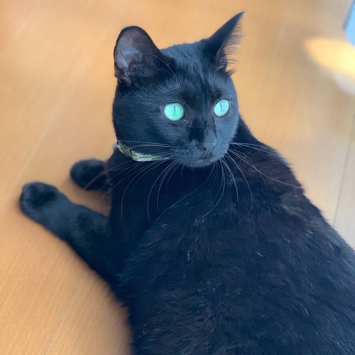 8042e4a5 105a 4b0f b51d 355480dd8db7 1570238661598