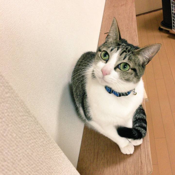 8042f28d 5514 4b6f b553 6f07cafa0778 1513336782039