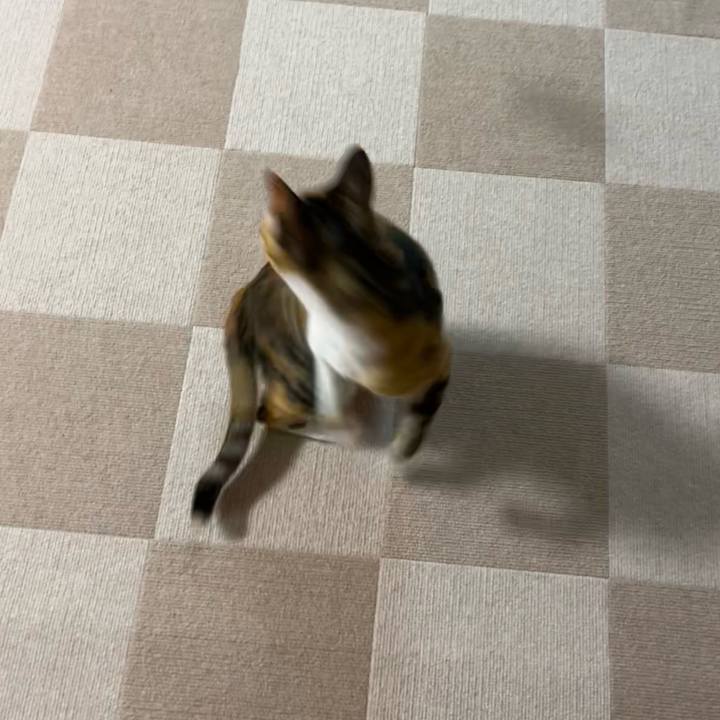 80433410 b7bd 4685 99b0 274011fb1a20 1666397263175