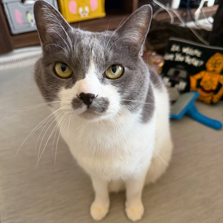 80438f18 219d 4733 af76 05957d1747b3 1771739526241