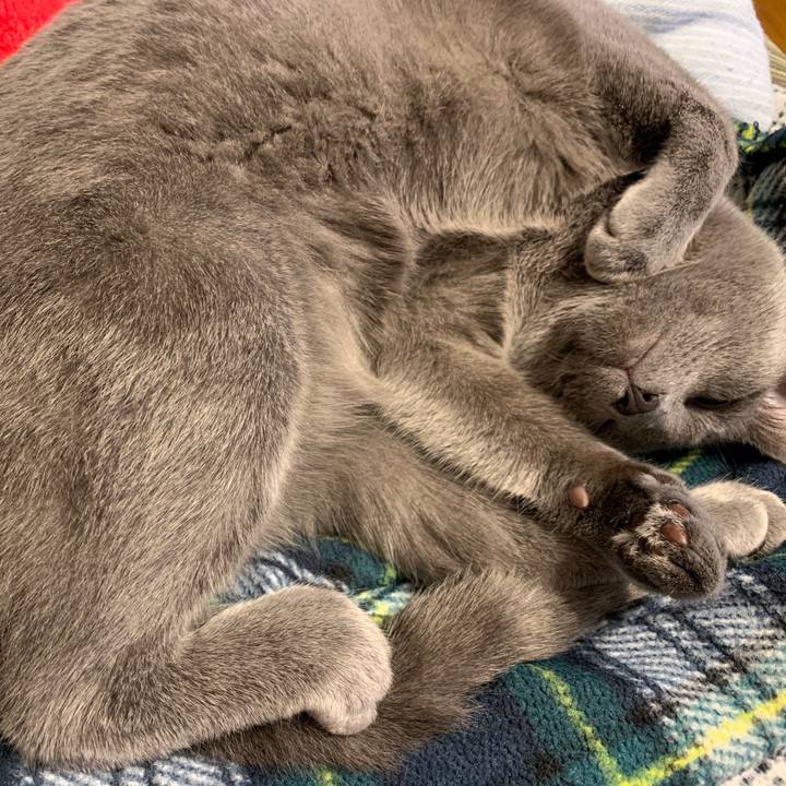 80439262 e891 4e1c a4ea 8b3ce0df611c 1586209438231