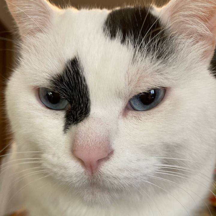 8043aad2 c1aa 46dc a076 7dab8dc0a726 1772800429593