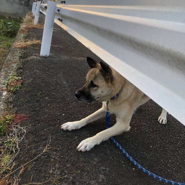 8043d05e 6dbc 49ce be94 77a2ca0d53ed 1575978823800