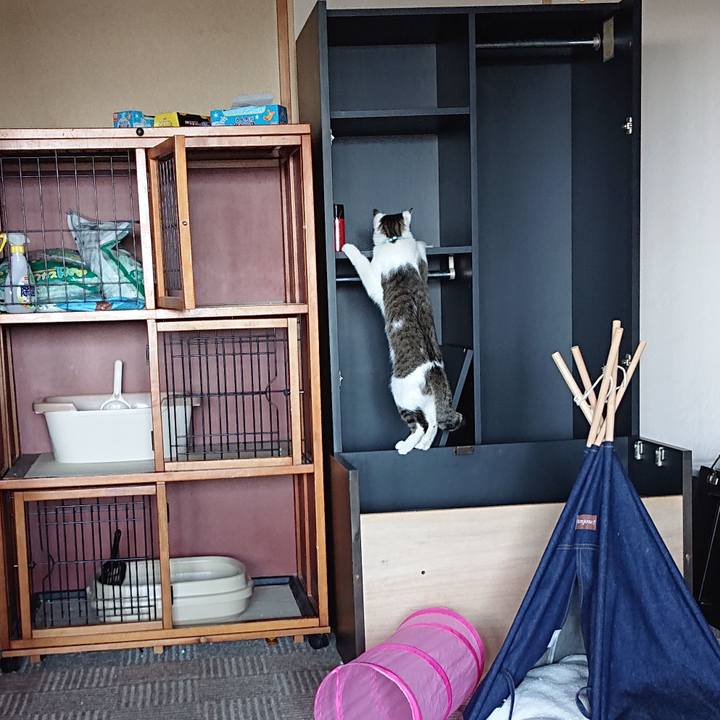 8043fa3f b3a7 41d9 a86e 6e2a95f35f67 1558659629519