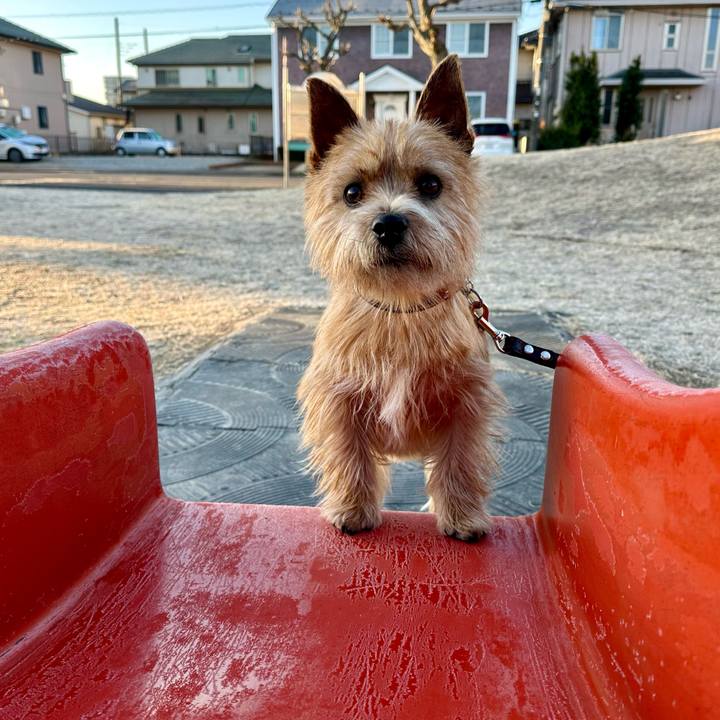 804404f4 6fac 49d9 b119 d1d936cf02aa 1739599348243