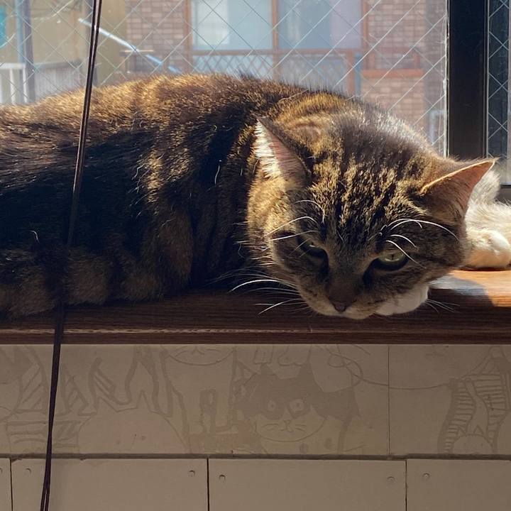 80442314 42ee 4b0e 8c85 ed12702ac29b 1586310039463