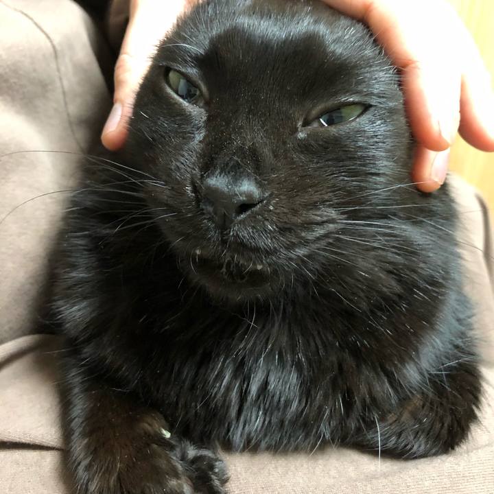 80442f67 0496 48d5 9b11 2d217abd6a6d 1613829842973